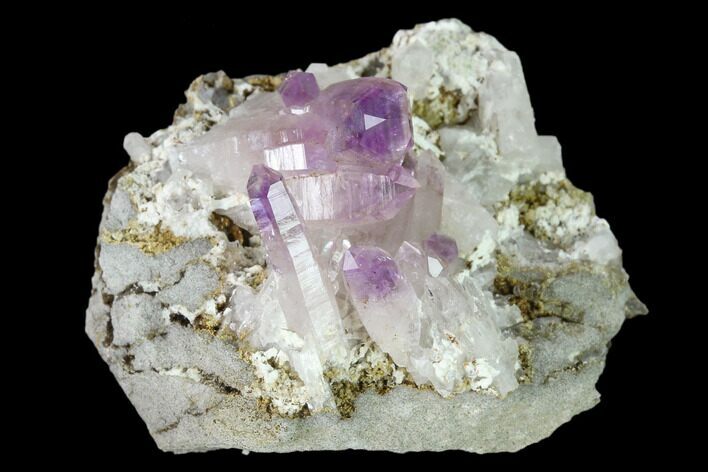 Amethyst Crystal Cluster - Las Vigas, Mexico #136987